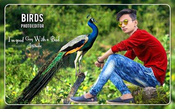Bird Photo Editor screenshot 3