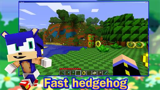 Fast Blue Hedgehog mod screenshot 1