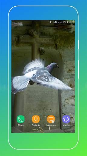 Pigeon Wallpaper screenshot 15