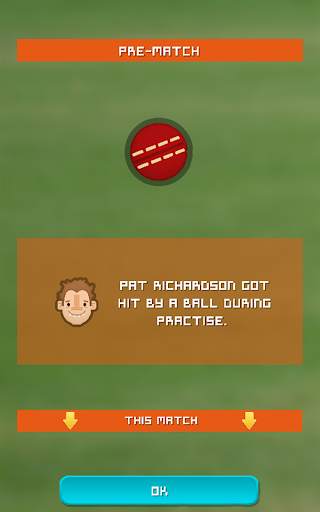Village Cricket screenshot 9