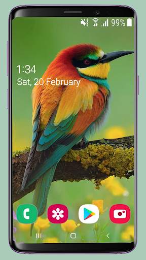 Bird Wallpaper New 4K screenshot 4