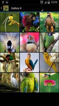 Bird Ideas screenshot 10