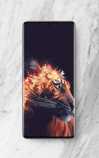 Fire Wallpaper Offline screenshot 4