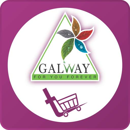 Galwaykart 10.2.52
