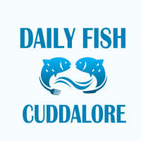 Daily Fish Cuddalore logo