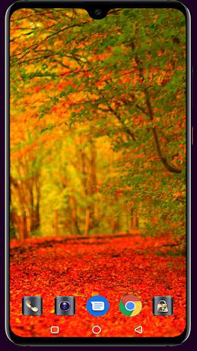 Autumn Wallpaper 4K Latest screenshot 8