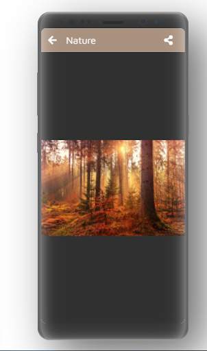 The best Wallpapers 2021 screenshot 2