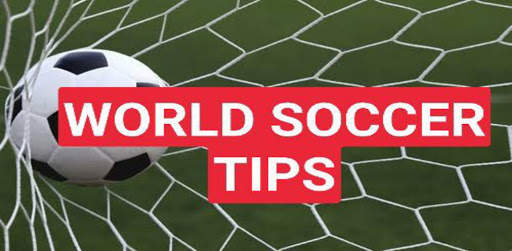 WORLD SOCCER  TIPS screenshot 1
