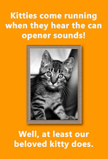 Can Opener Sound Player & Cat Sounds screenshot 2