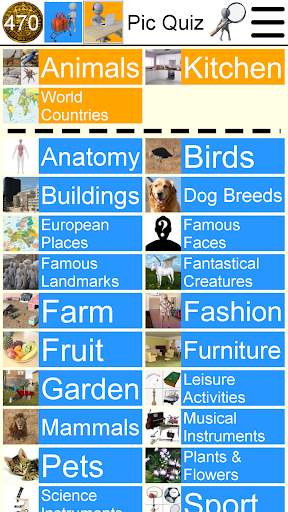Pic Quiz screenshot 7