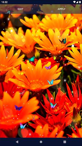 Butterflies Live Wallpaper screenshot 7
