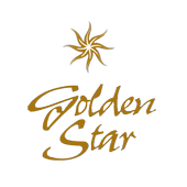 Golden Star icon
