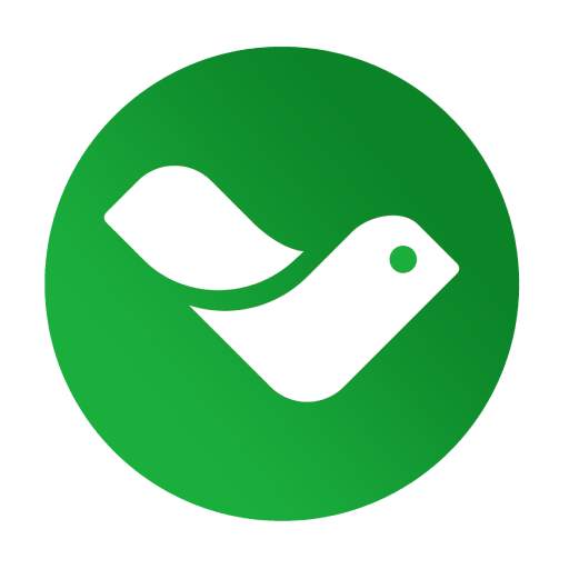 BINGO QUIZE 2.6