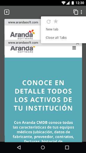 Aranda Secure Web Browser screenshot 4