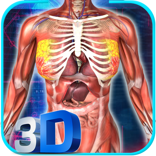 Female Anatomy 3D : Female Body Visualizer icon
