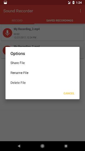 voice recoder 4 تصوير الشاشة