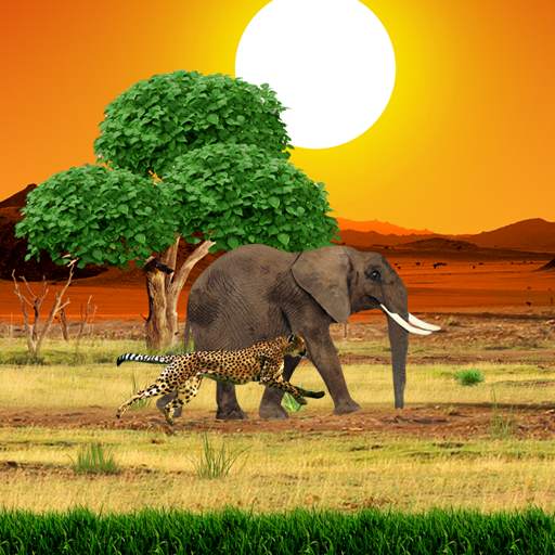 Safari Live Wallpaper 1.0.9