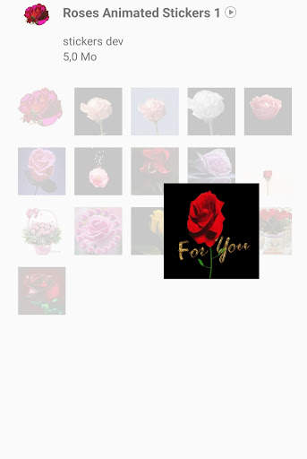Roses Animated Stickers For WhatsApp WAStickerApps screenshot 7