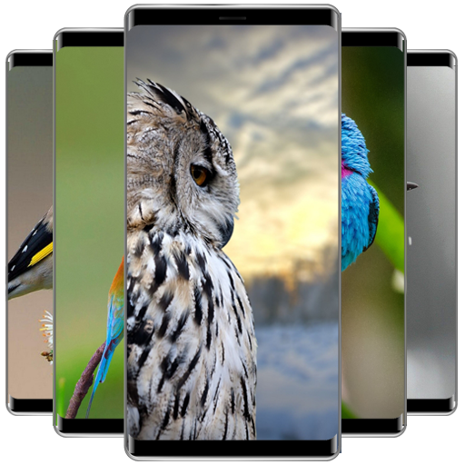 Birds Wallpaper आइकन