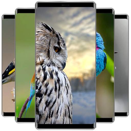 Birds Wallpaper 1.0