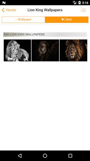 Lion King Wallpapers - Best Lion Wallpapers HD screenshot 4