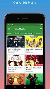Naija Music screenshot 4