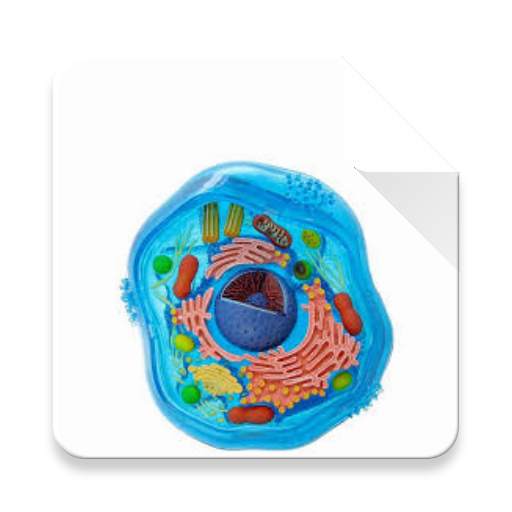 Cell- Organelles 1.0