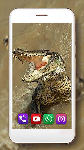 Crocodiles live wallpaper screenshot 3