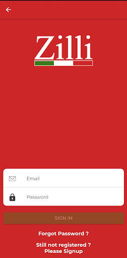 Zilli screenshot 4