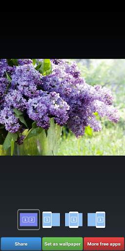 Lilac Wallpapers screenshot 4