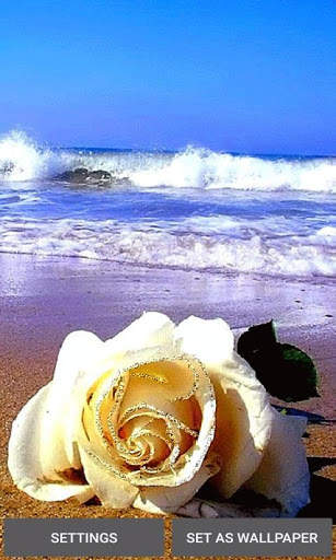 Ocean Flower Live Wallpaper 1 تصوير الشاشة