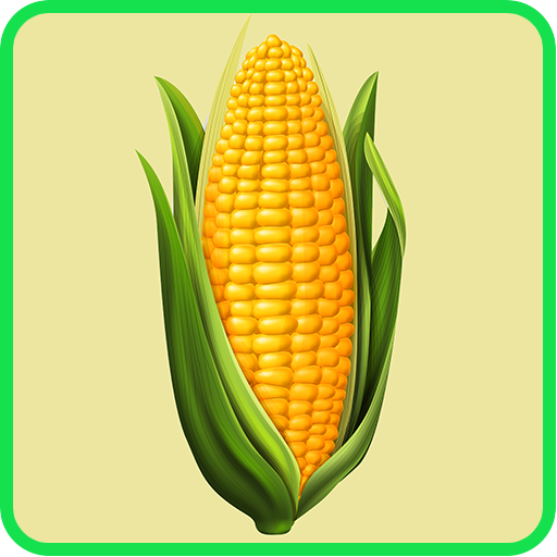 Corn Recipes: Corn salad, Corn bread icon