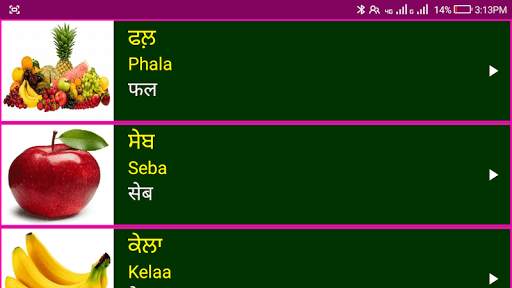 Learn Punjabi From Hindi 12 تصوير الشاشة