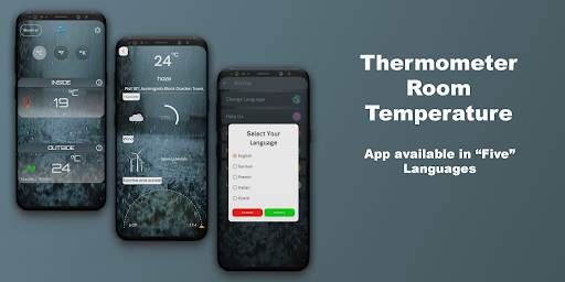 Thermometer Room Temperature screenshot 1