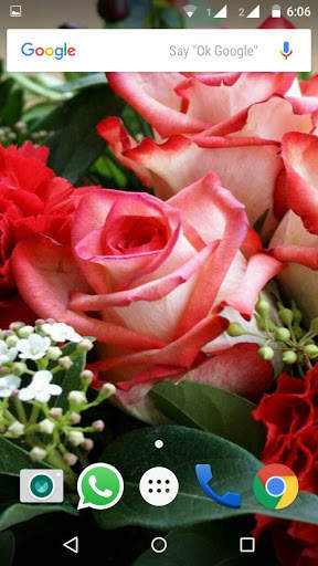 Rose HD Wallpaper screenshot 3