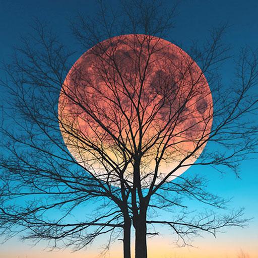 Moon HD Wallpapers icon