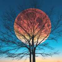Moon HD Wallpapers on 9Apps