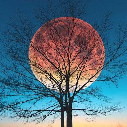 Moon HD Wallpapers 1.0.2