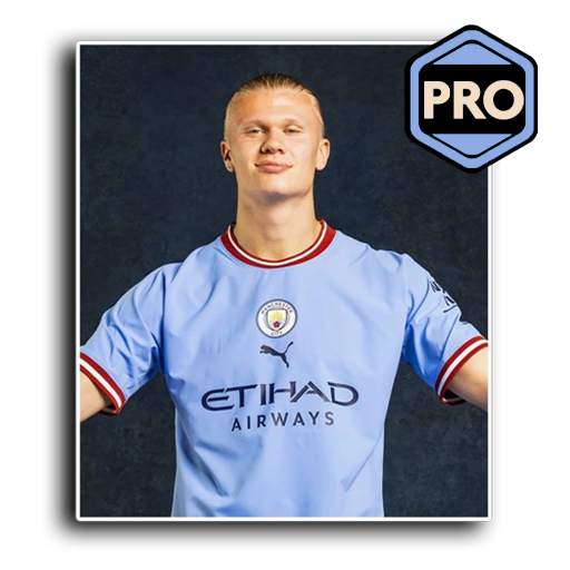 Haaland - WA Sticker Pro 2.0