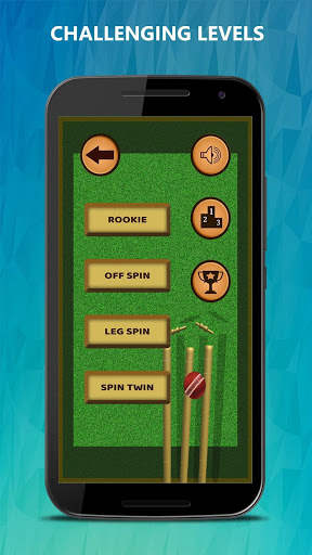 Bowled 3D - Cricket Game screenshot 20