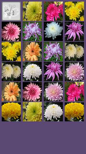 Chrysanthemum Memory Game screenshot 3