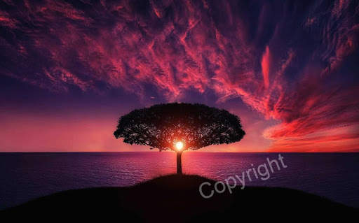 Pro Watermark Free screenshot 2