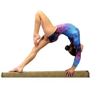 GYMNASTICS TRAINING screenshot 1
