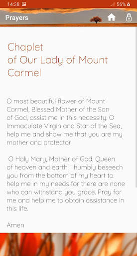 Our Lady of Mount Carmel screenshot 5