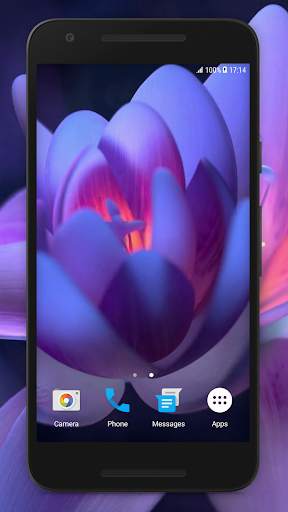 Flower Video Wallpaper screenshot 1