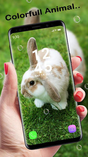 Cute Animal APUS Live Wallpaper screenshot 3