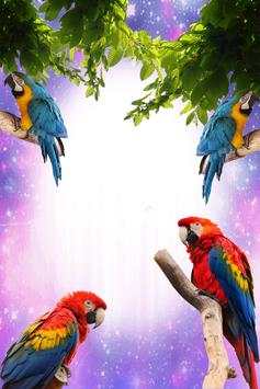 Macaw Birds Photo Frames screenshot 3