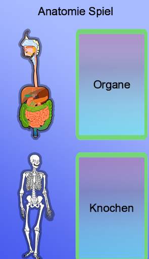 Anatomie Spiel screenshot 2