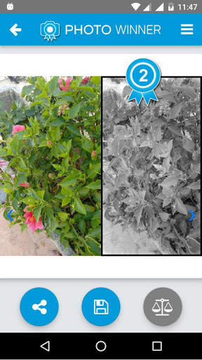 PhotoWinner, mejora tu foto en un solo clic screenshot 8