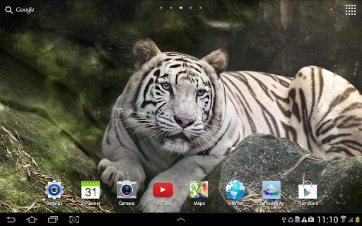 Tiger Live Wallpaper screenshot 13